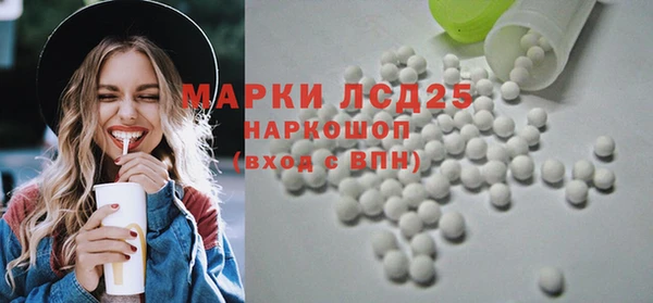 apvp Алзамай