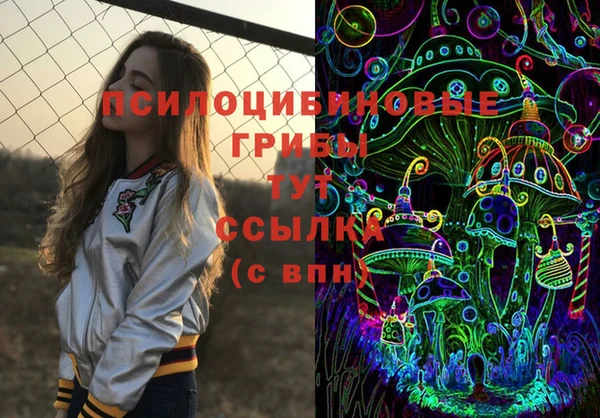 синтетический гашиш Алексеевка