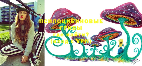 apvp Алзамай