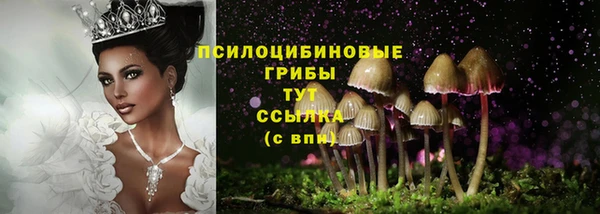 синтетический гашиш Алексеевка