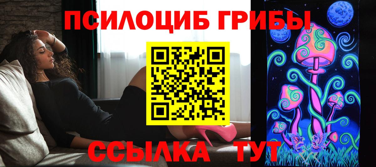 Тара  Галлюциногенные грибы GOLDEN TEACHER  Вход с VPN 