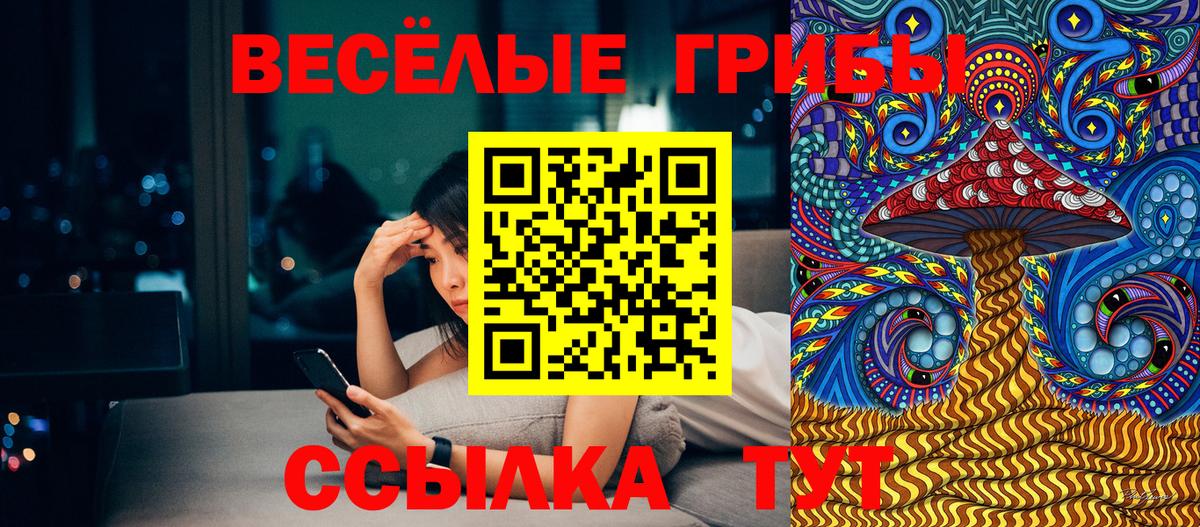 Галлюциногенные грибы Psilocybine cubensis Тара